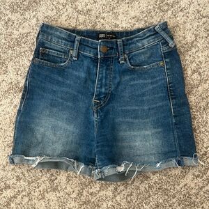 True Religion Denim Jenny Curvy Short 28